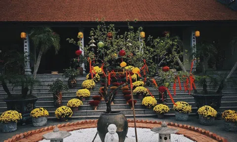 Địa điểm chụp ảnh đẹp ở An Lão, Hải Phòng