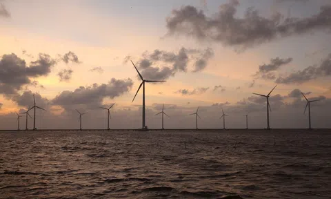 Thủ tục CCA gây tắc nghẽn hàng loạt dự án điện tái tạo