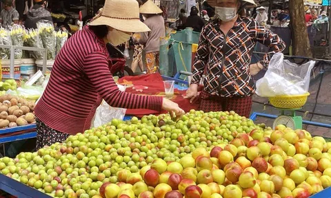 Chợ Hà Nội bày bán tràn lan mận, đào Trung Quốc gắn mác hàng Việt