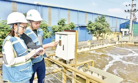 Tăng trưởng xanh: Việt Nam cần “kiến trúc sư" và cuộc cách mạng ý thức