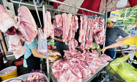 Dự báo giá heo hơi trong thời gian tới