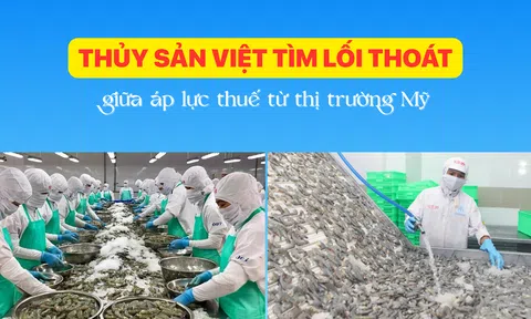 Thủy sản Việt tìm lối thoát giữa áp lực thuế từ thị trường Mỹ