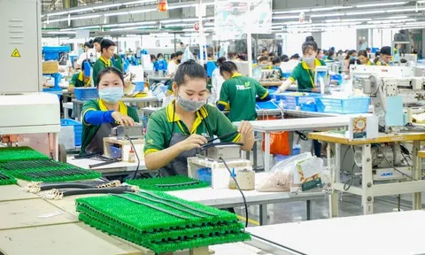 Gần 175.000 doanh nghiệp hoạt động trở lại, tạo lực đẩy cho nền kinh tế
