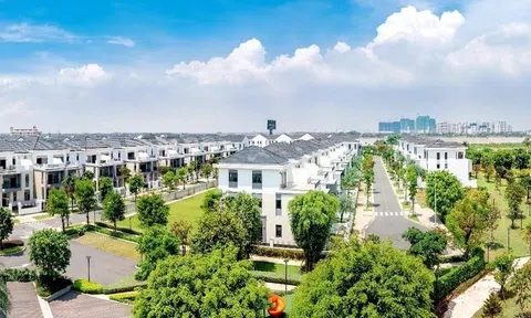 Hoán đổi nợ nghìn tỉ, Novaland tăng vốn lên gần 22.700 tỉ đồng
