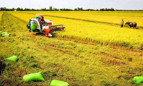 Tháo gỡ vướng mắc, hoàn thiện thể chế phân quyền ngành nông nghiệp và môi trường