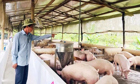 Kiến nghị gỡ vướng thuế VAT cho ngành chăn nuôi