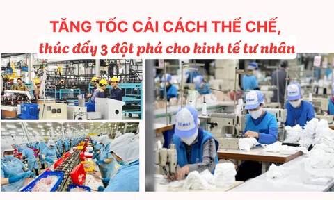 Tăng tốc cải cách thể chế, thúc đẩy ba đột phá cho kinh tế tư nhân
