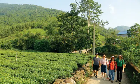 Pháp luật mở đường, du lịch nông nghiệp bước vào “thời điểm vàng”