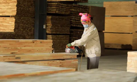 Ngành gỗ tìm lối đi mới giữa “bão” thuế 20%