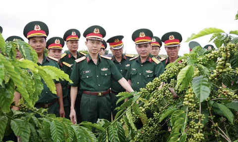 Binh đoàn 16: Gắn quốc phòng với phát triển xanh nơi phía đầu Tổ quốc