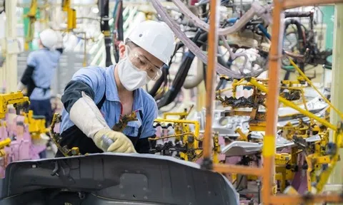 Thuế tối thiểu toàn cầu: Việt Nam ban hành Nghị định hướng dẫn thực hiện