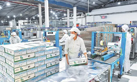 80 năm Quốc khánh: Dấu ấn doanh nghiệp Việt trên hành trình dựng xây đất nước