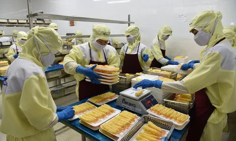 200 triệu USD thủy sản đối mặt rào cản MMPA: Việt Nam khẩn trương ứng phó