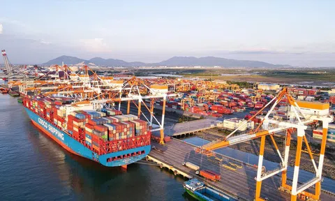 Tăng trưởng ấn tượng, cảng biển Việt Nam lọt nhóm dẫn đầu khu vực