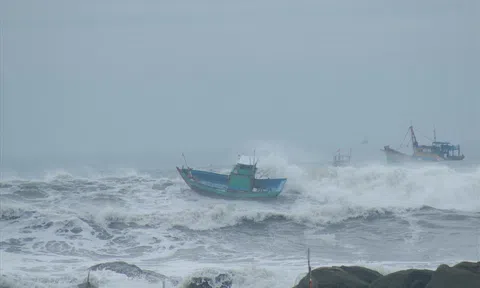 Biển Đông xuất hiện cơn bão mới, tàu thuyền cần đề phòng gió mạnh