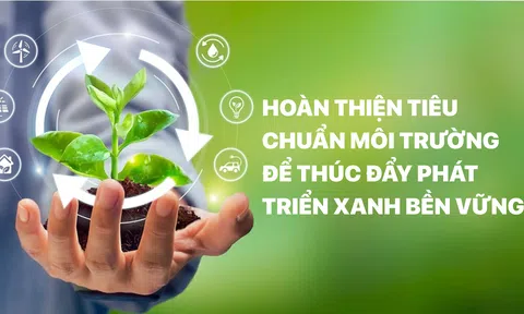 Hoàn thiện tiêu chuẩn môi trường để thúc đẩy phát triển xanh bền vững