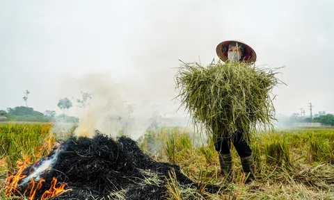 Tái chế phụ phẩm nông nghiệp: Gian nan biến “rác” thành “vàng”