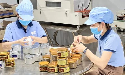 Khởi nghiệp từ vị mặn – Hành trình nâng tầm giá trị hạt muối Việt