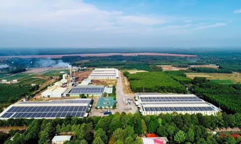 Phát triển công nghiệp môi trường thành ngành kinh tế độc lập, dẫn dắt chuyển đổi xanh