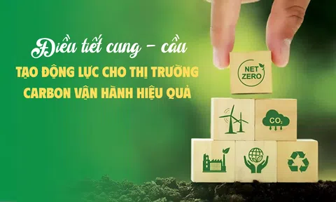Điều tiết cung - cầu, tạo động lực cho thị trường carbon vận hành hiệu quả