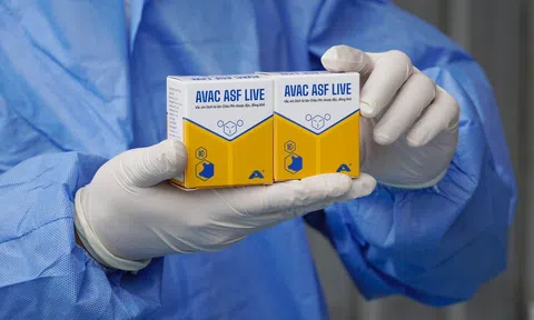 Việt Nam xuất khẩu lô vaccine dịch tả lợn châu Phi lớn nhất sang Philippines