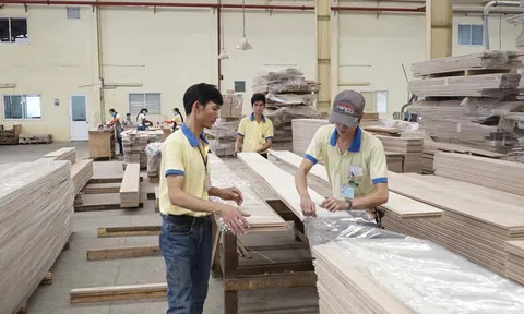 Ngành lâm nghiệp Việt Nam tăng tốc chuyển đổi số với công cụ nhận diện gỗ