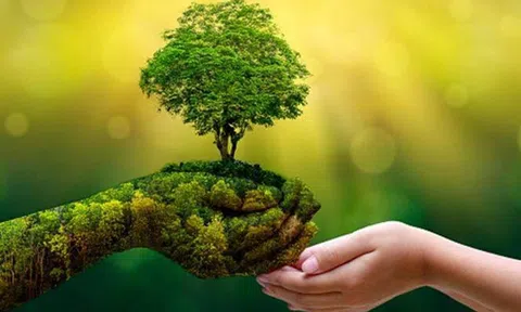 Việt Nam chủ động loại trừ chất hại ô-dôn, thúc đẩy chuyển đổi xanh