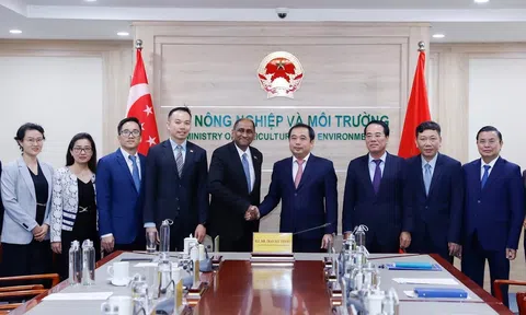 Việt Nam và Singapore bắt tay mở rộng hợp tác carbon vì mục tiêu phát triển bền vững