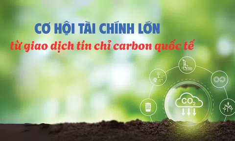 [Emagazine] Cơ hội tài chính lớn từ giao dịch tín chỉ carbon quốc tế