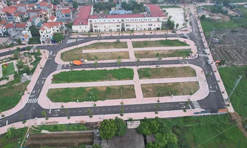 Ngăn “sốt ảo” đấu giá đất, đề xuất đặt cọc cao gấp đôi hiện nay