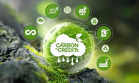 Việt - Pháp thúc đẩy hợp tác khí hậu, năng lượng và kinh tế xanh