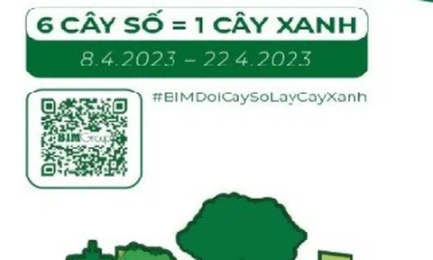 Tập đoàn BIM Group triển khai Chiến dịch "đổi cây số lấy cây xanh"