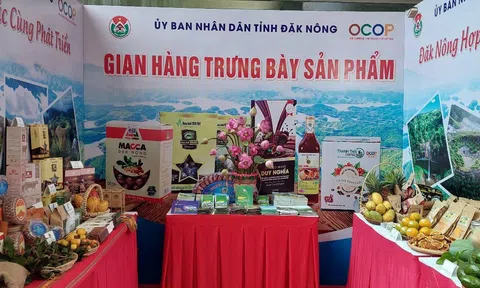 Đắk Nông ứng dụng công nghệ, đưa sản phẩm OCOP lên sàn thương mại điện tử