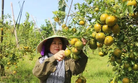 Nhiều điểm sáng trong chương trình Xây dựng nông thôn mới ở Đắk Nông