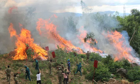 Chủ động phòng cháy, chữa cháy rừng trong cao điểm mùa khô 2024