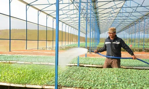 Đưa hoạt động của hợp tác xã phát triển theo chiều sâu, thích ứng với thị trường