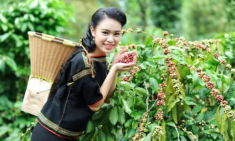 Dấu son 49 năm đầy tự hào của Buôn Ma Thuột và hành trình Đô thị xanh