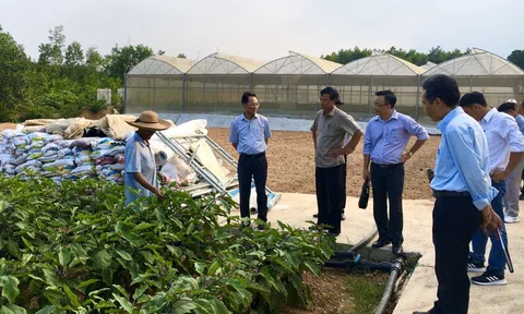 Nỗ lực khắc phục hạn chế, nâng cao hiệu quả hoạt động kinh tế hợp tác ở Đắk Lắk