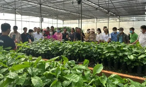 Khuyến nông Đắk Nông: Điểm tựa giúp người dân thoát nghèo, vượt khó