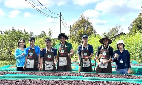 Cuộc thi “Cà phê đặc sản Việt Nam 2024”: Tôn vinh cà phê đạt tiêu chuẩn đặc sản