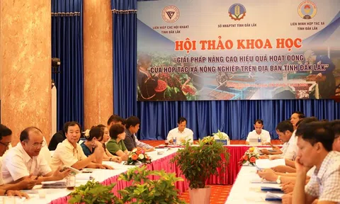Nâng cao năng lực và hiệu quả hoạt động của Hợp tác xã nông nghiệp tại Đắk Lắk