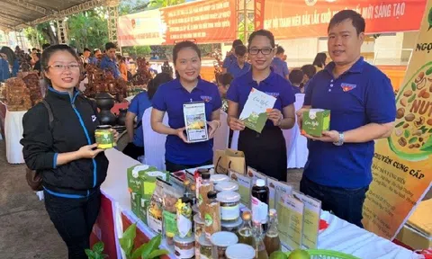 Hệ sinh thái khởi nghiệp đổi mới sáng tạo ở Đắk Lắk lan tỏa mạnh mẽ