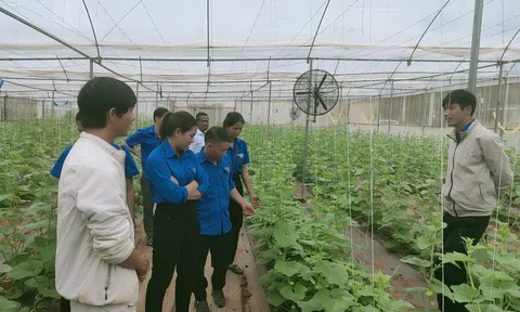 Phát triển 8 vùng nông nghiệp công nghệ cao ở Đắk Glong