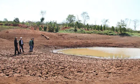 Nông dân Đắk Lắk oằn mình chống chọi với thời tiết nắng nóng khô hạn