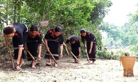 Nghi lễ cúng cầu mưa và cầu mùa độc đáo của người Êđê tại Krông Bông