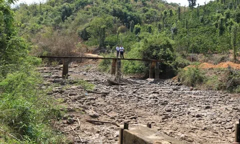 Đề xuất xây mới 10 công trình thủy lợi để phòng chống hạn hán tại Đắk Nông