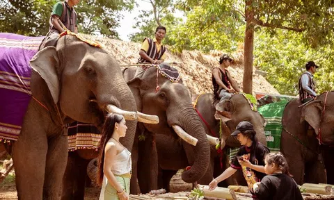 Sẵn sàng đón khách du lịch trong cao điểm dịp lễ 30/4 - 1/5 năm nay