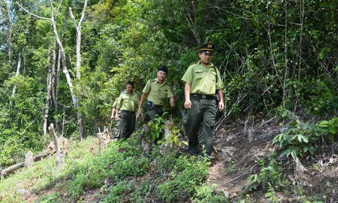 Nghỉ lễ 30/4 và 1/5, Đắk Nông vẫn siết chặt công tác quản lý và bảo vệ rừng