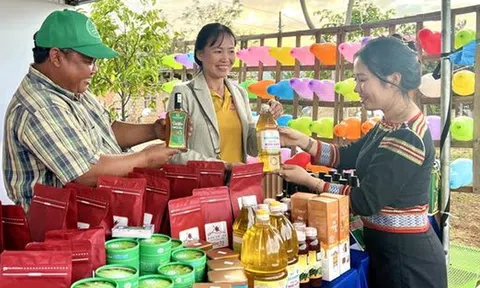 Nông dân Tây Nguyên đưa nông sản lên sàn thương mại điện tử