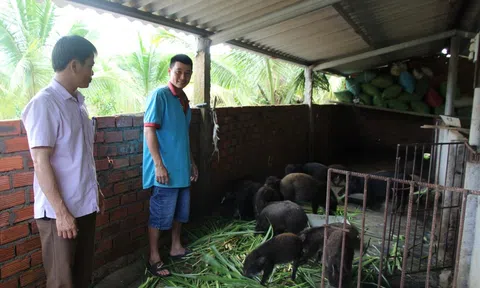 Đắk Lắk đẩy mạnh công tác đa dạng sinh kế giúp người dân giảm nghèo bền vững